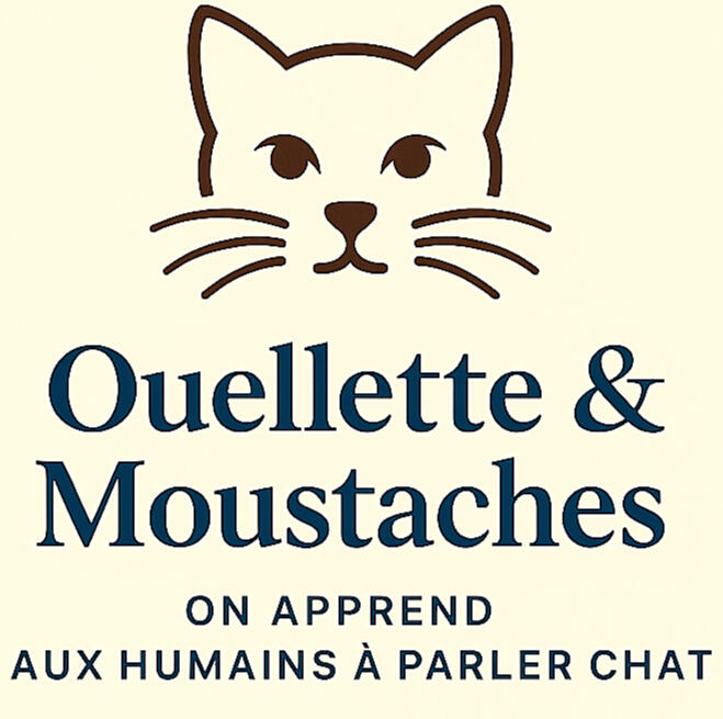 Logo de Ouellette & Moustaches, cabinet de conseils en comportement félin, avec une illustration minimaliste d’un visage de chat.